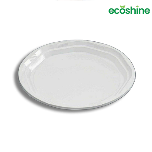 10" Disposable Plate (50 Pieces)
