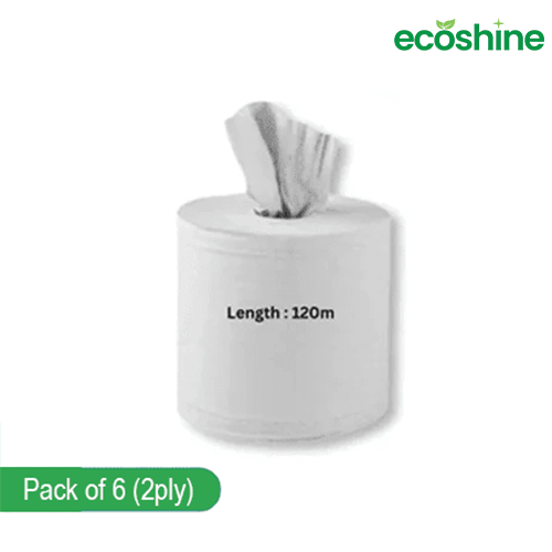 White Centrefeed Rolls 2-Ply 120 Meter (Pack of 6)