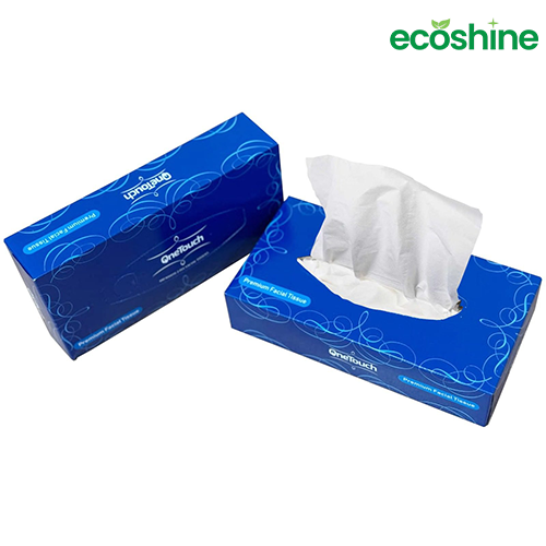 One Touch Premium Facial Tissue White Soft and Ideal for Sensitive Skin (24 boxes of 100 Tissue)