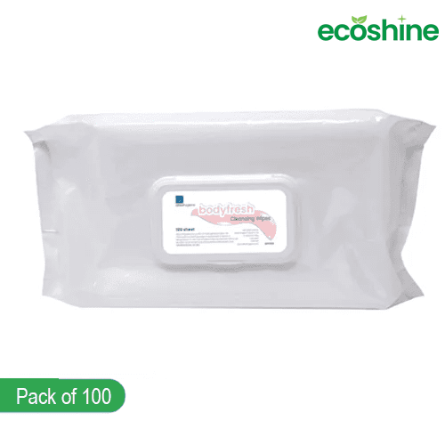 Bodyfresh Cleansing Wipes