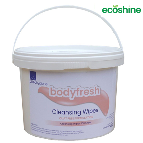 Bodyfresh Patient Cleansing Wipes (150 Sheets)