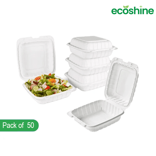 EcoChoice 600ml (7'') Bagasse Clamshell Food Containers – Pack of 50