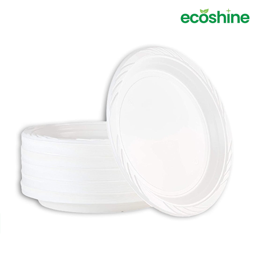 9 Inch Disposable Plate (50 Pieces)