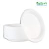 9 Inch Disposable Plate (50 Pieces)