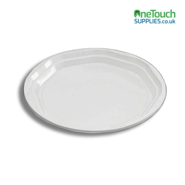 10" Disposable Plate (50 Pieces)